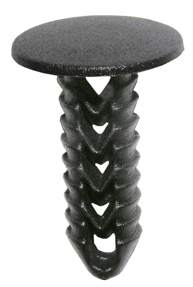 10155
