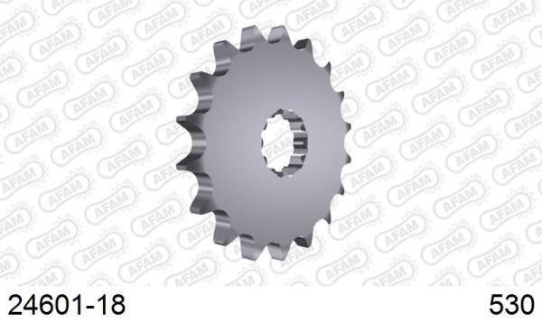 24601