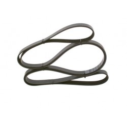 PASEK WIELOROWKOWY 7PK2842