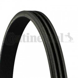 PASEK WIELOROWKOWY 3PK576ELAST