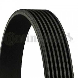 PASEK WIELOROWKOWY 7PK1179...