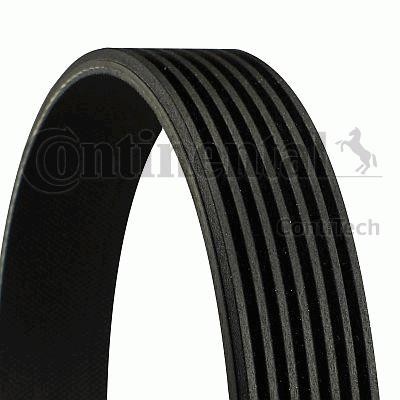 PASEK WIELOROWKOWY 7PK2276