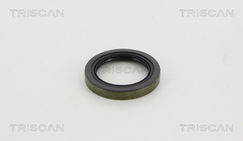 PIERŚCIEŃ ABS DB PRZÓD C209/W203/W204/W212/R171/R172 1,8-5,5 02-
