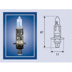 ŻARÓWKA H1 24V/70W