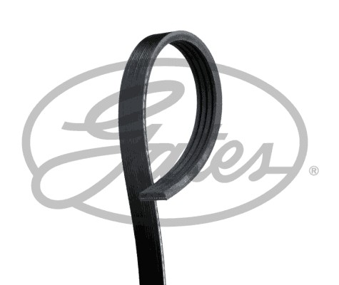 PASEK WIELOROWKOWY 4PK1063