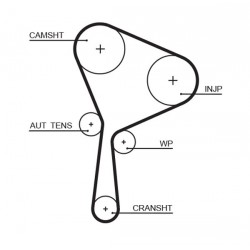 PASEK ROZRZĄDU RENAULT 1,9DCI