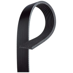 PASEK WIELOROWKOWY 7PK1236